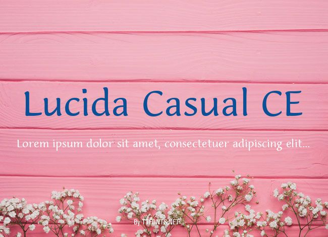 Lucida Casual CE example